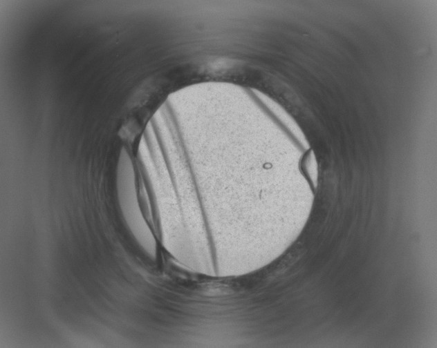 X0000081350750200702082254