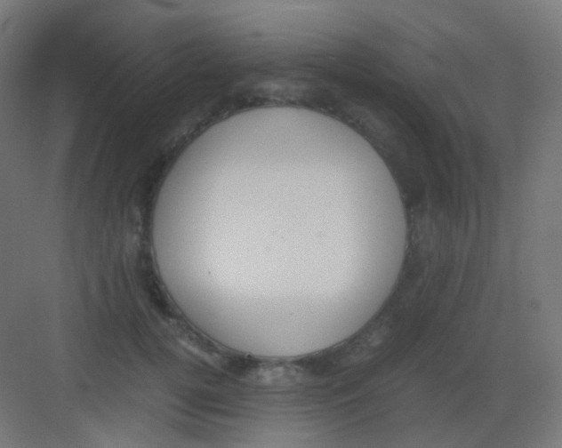 X0000081350752200702082254