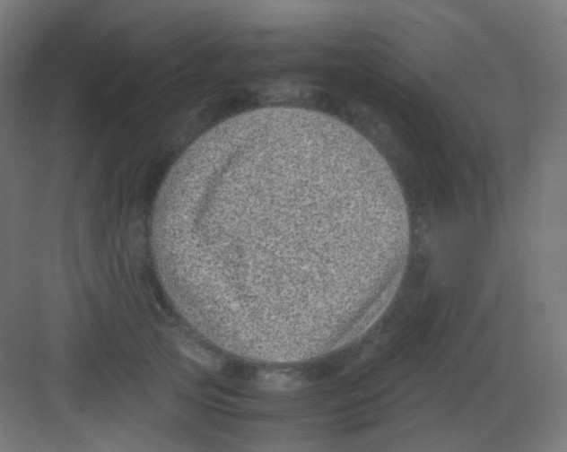 X0000081350753200702082254