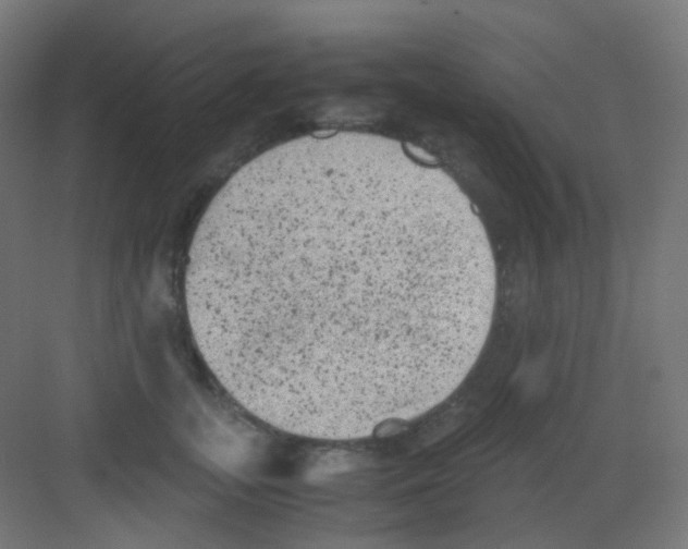 X0000081350755200702082254