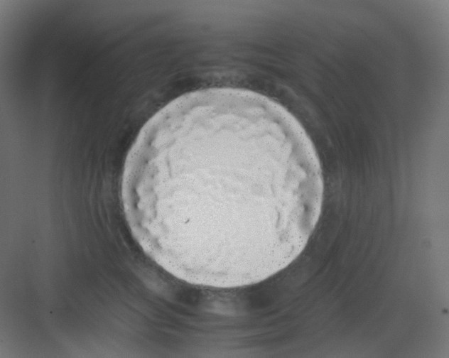 X0000081350757200702082254