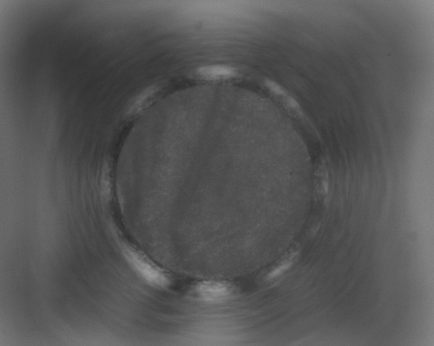 X0000081350762200702082254