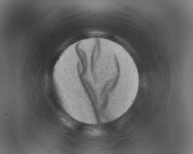 X0000081350763200702082254