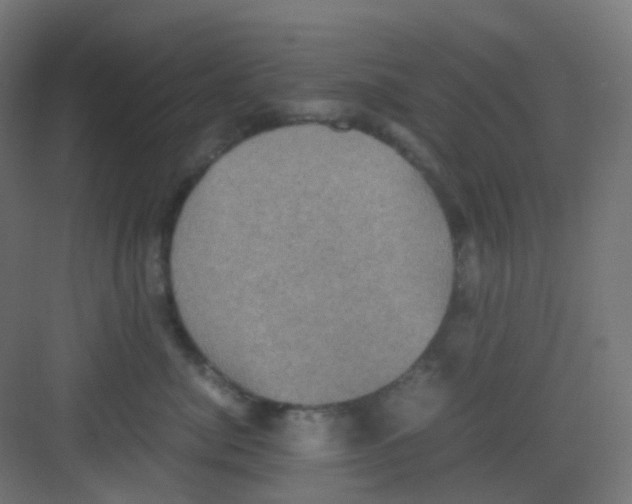 X0000081350764200702082254