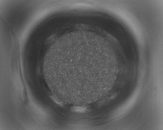 X0000081350765200702082254