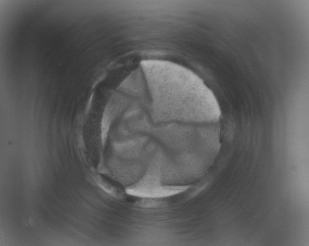 X0000081350766200702082254