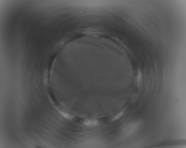 X0000081350767200702082254