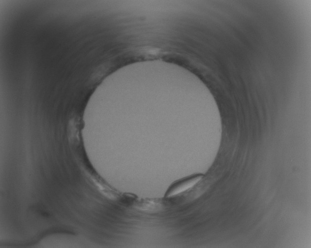 X0000081350768200702082254