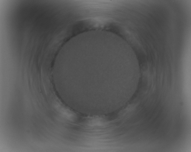 X0000081350769200702082253