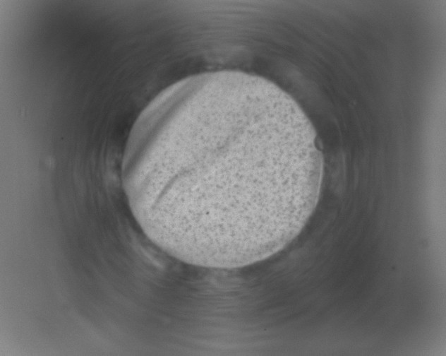 X0000081350770200702082253