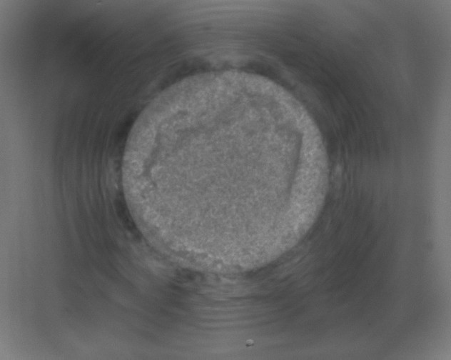 X0000081350772200702082253