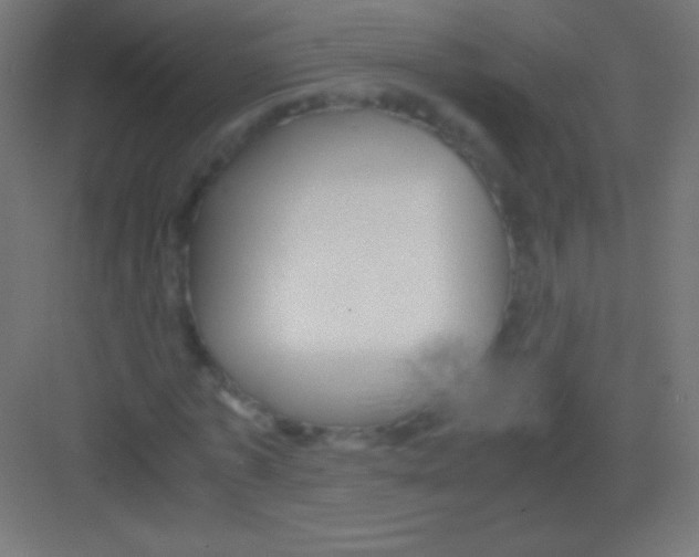 X0000081350773200702082253