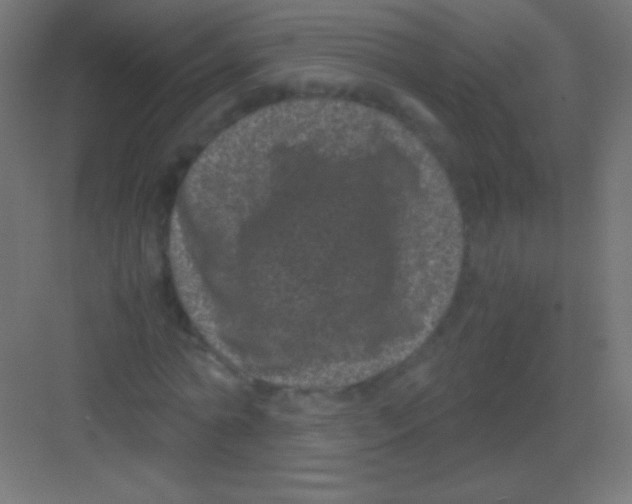 X0000081350774200702082253