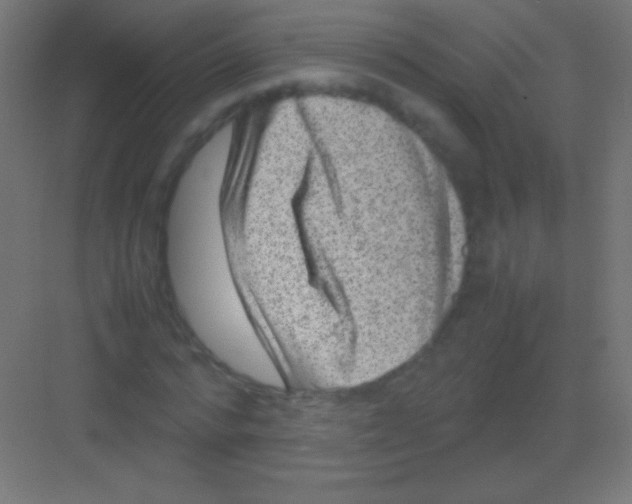 X0000081350776200702082253