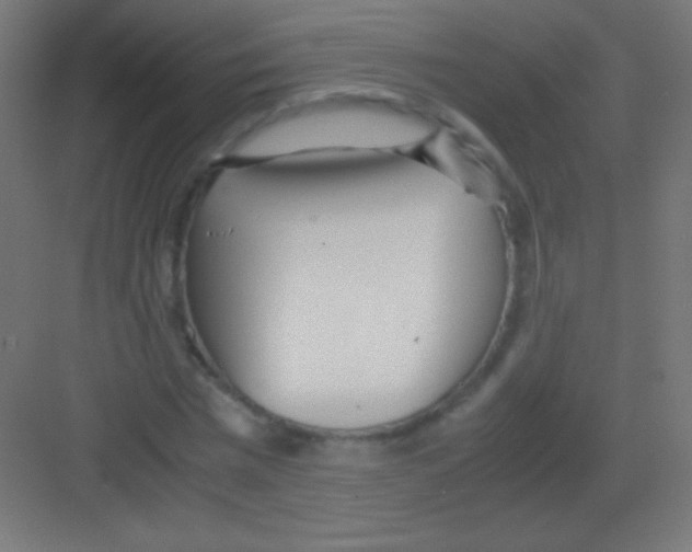 X0000081350777200702082253