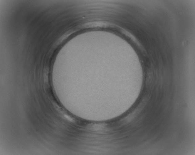 X0000081350778200702082253