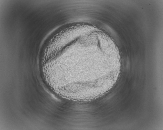 X0000081350780200702082253