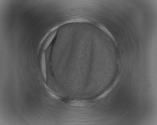 X0000081350781200702082253