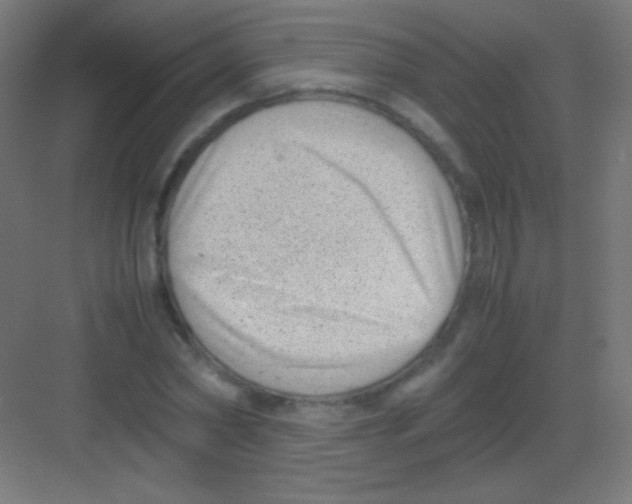 X0000081350782200702082253