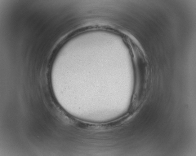 X0000081350783200702082253