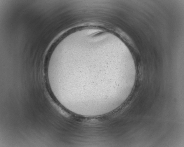 X0000081350784200702082253