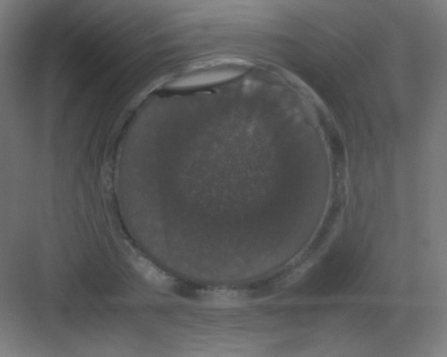 X0000081350785200702082253