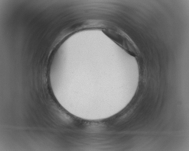 X0000081350786200702082253