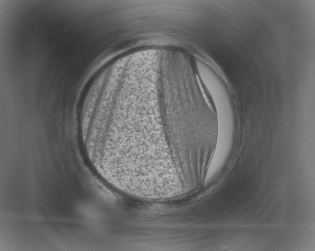 X0000081350787200702082253