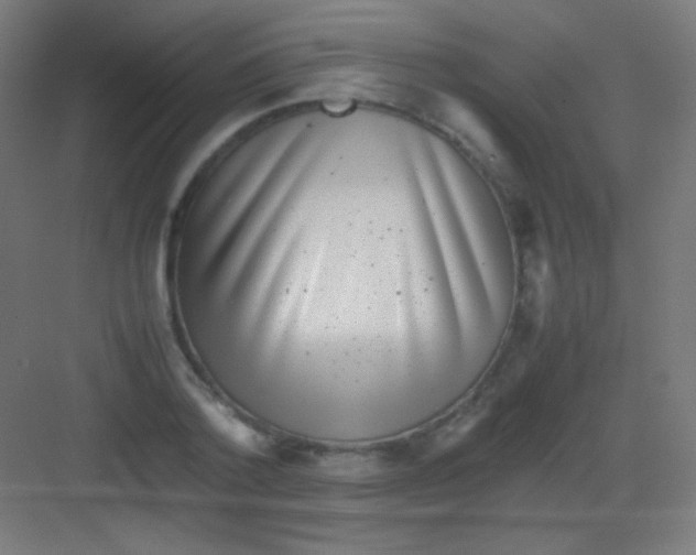 X0000081350788200702082253