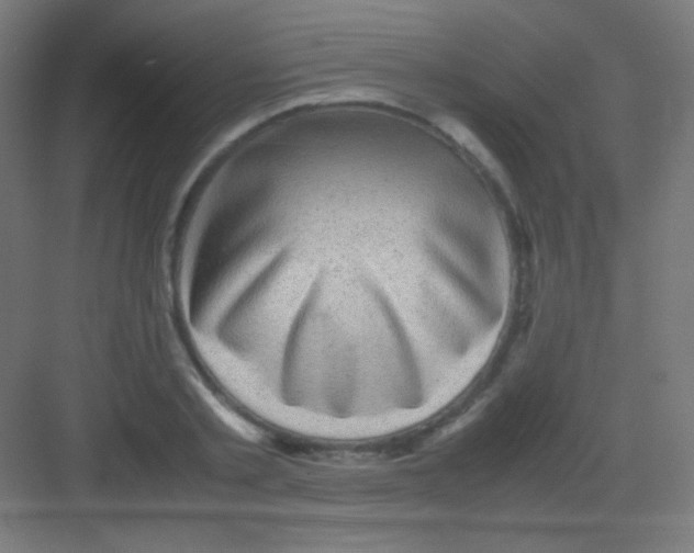 X0000081350789200702082253