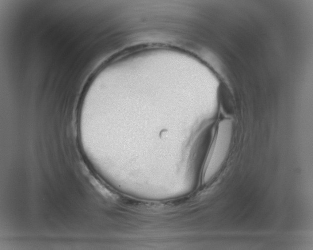 X0000081350791200702082253