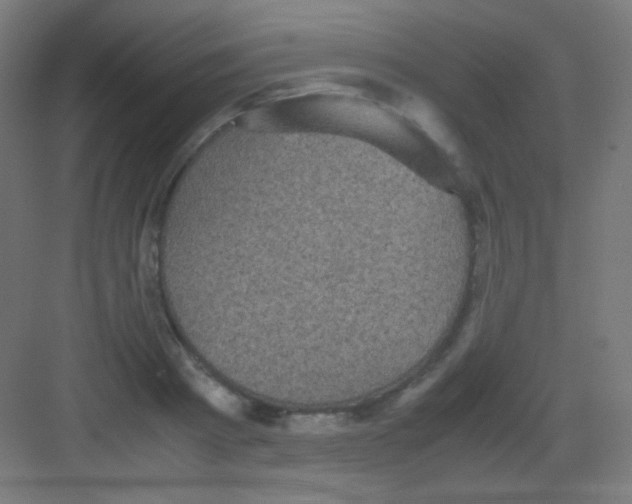 X0000081350793200702082253