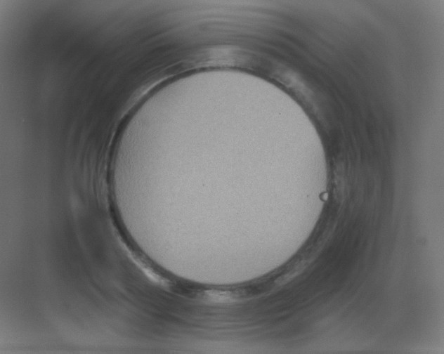 X0000081350794200702082253