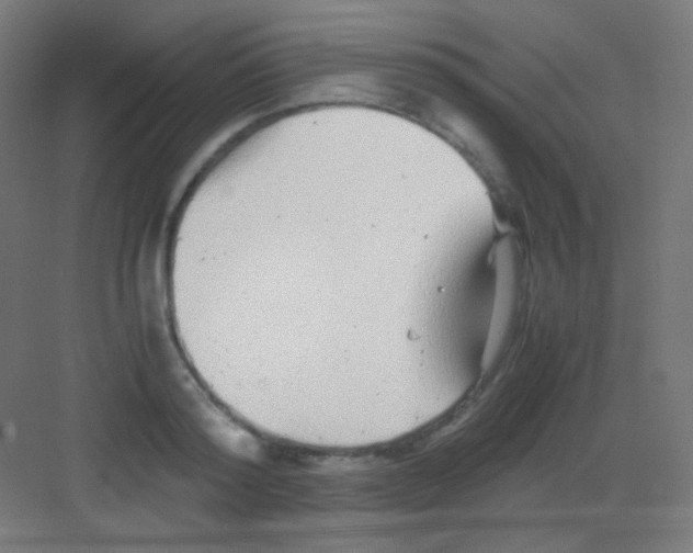 X0000081350796200702082253