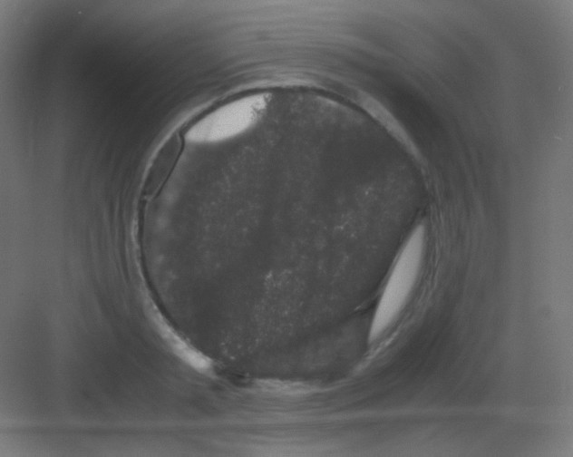 X0000081350797200702082253