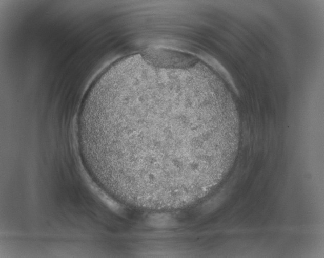 X0000081350798200702082253