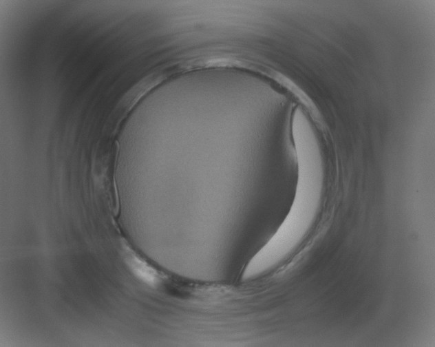 X0000081350801200702082253