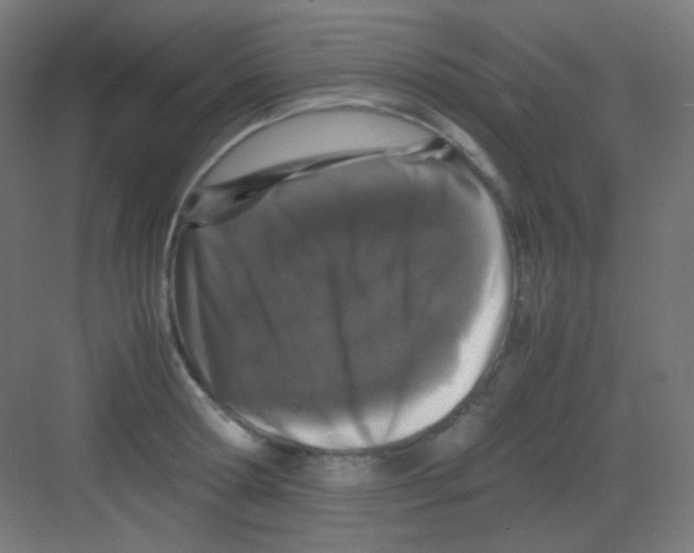 X0000081350802200702082253