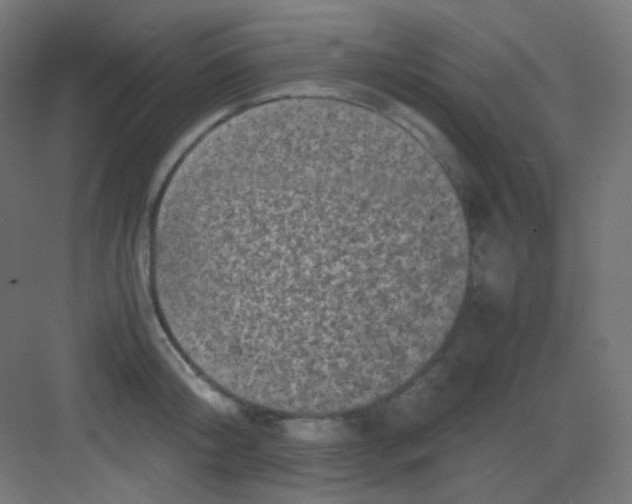 X0000081350804200702082253