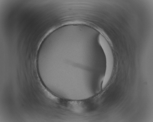 X0000081350805200702082253