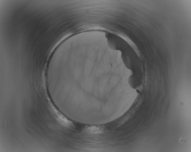 X0000081350806200702082253