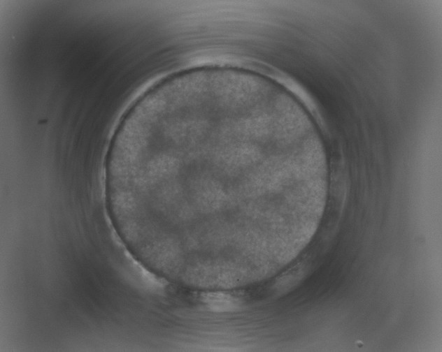 X0000081350807200702082253