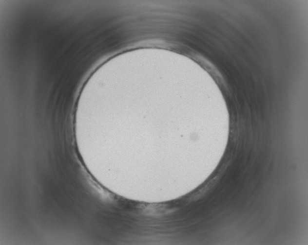 X0000081350808200702082253