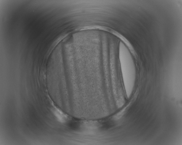 X0000081350809200702082253