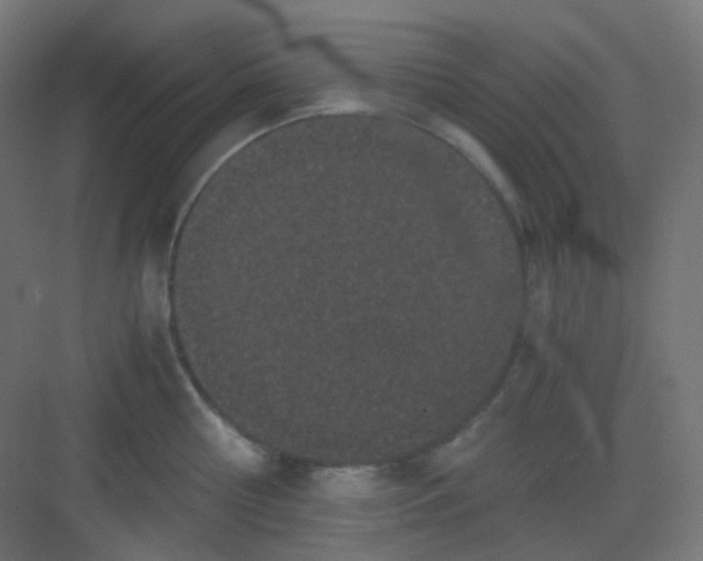 X0000081350810200702082253