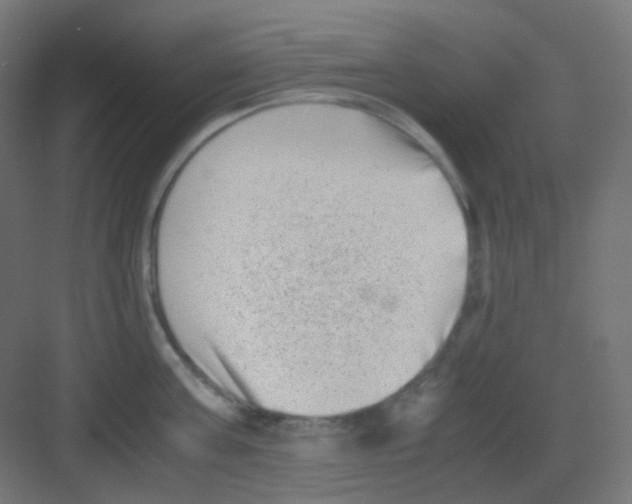 X0000081350811200702082253