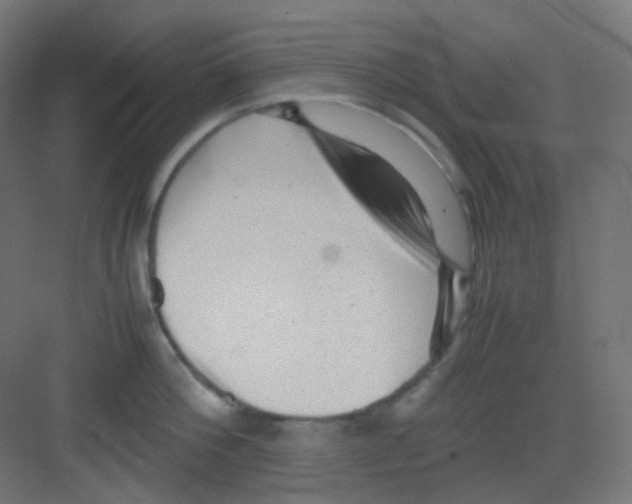 X0000081350812200702082253