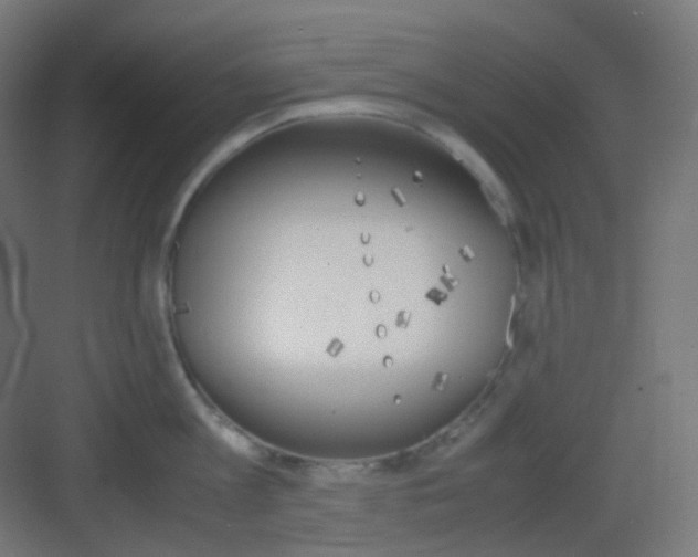 X0000081350813200702082253