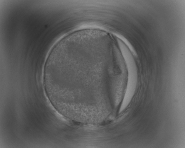 X0000081350815200702082253