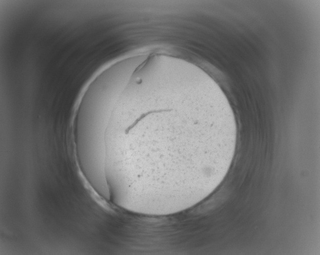 X0000081350816200702082253